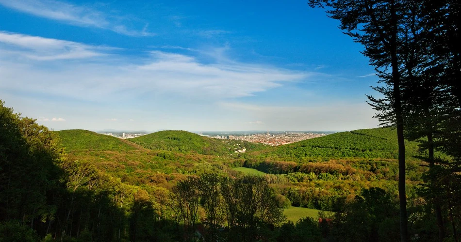 The Ultimate Vienna Travel Guide 2025