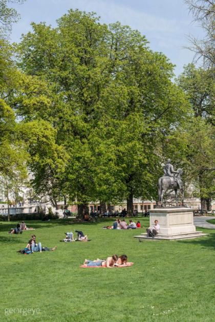 Tiny Hideaway - image 22