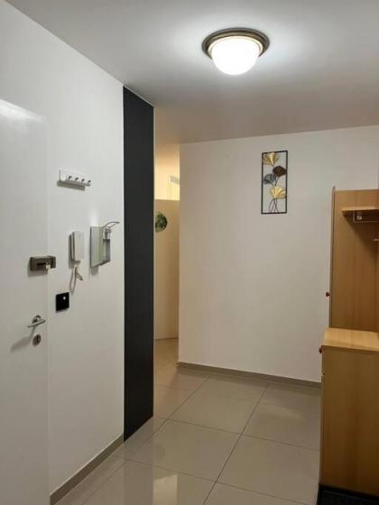 Sweet Home Vienna 1 - image 30